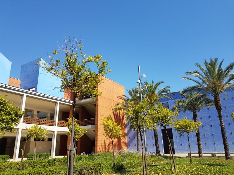 Cubiertas el 100 de las plazas de grado del Campus de Gandia