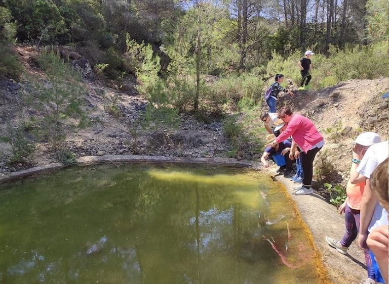 El voluntariado medioambiental de Oliva actúa para salvar los anfibios del municipio